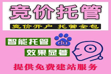 百度竞价排名之成功案例：看广告如何转化为销量